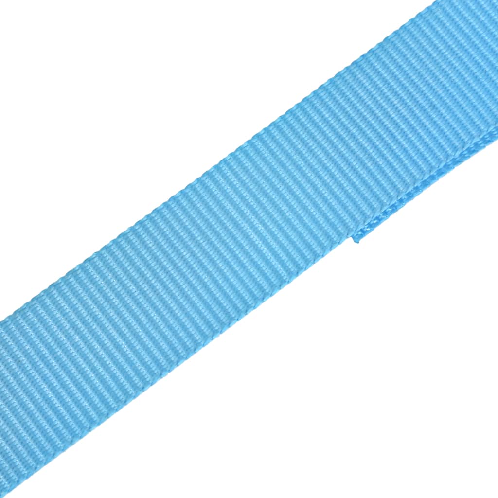 Cinghie d’Ancoraggio 10 pz a Cricchetto 0,8 T 4mx25mm Blu | homemem39