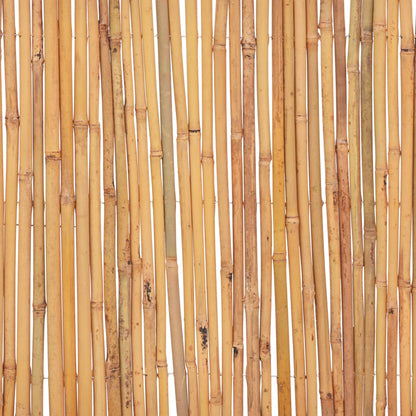 Recinzione in Bambù 500x30 cm