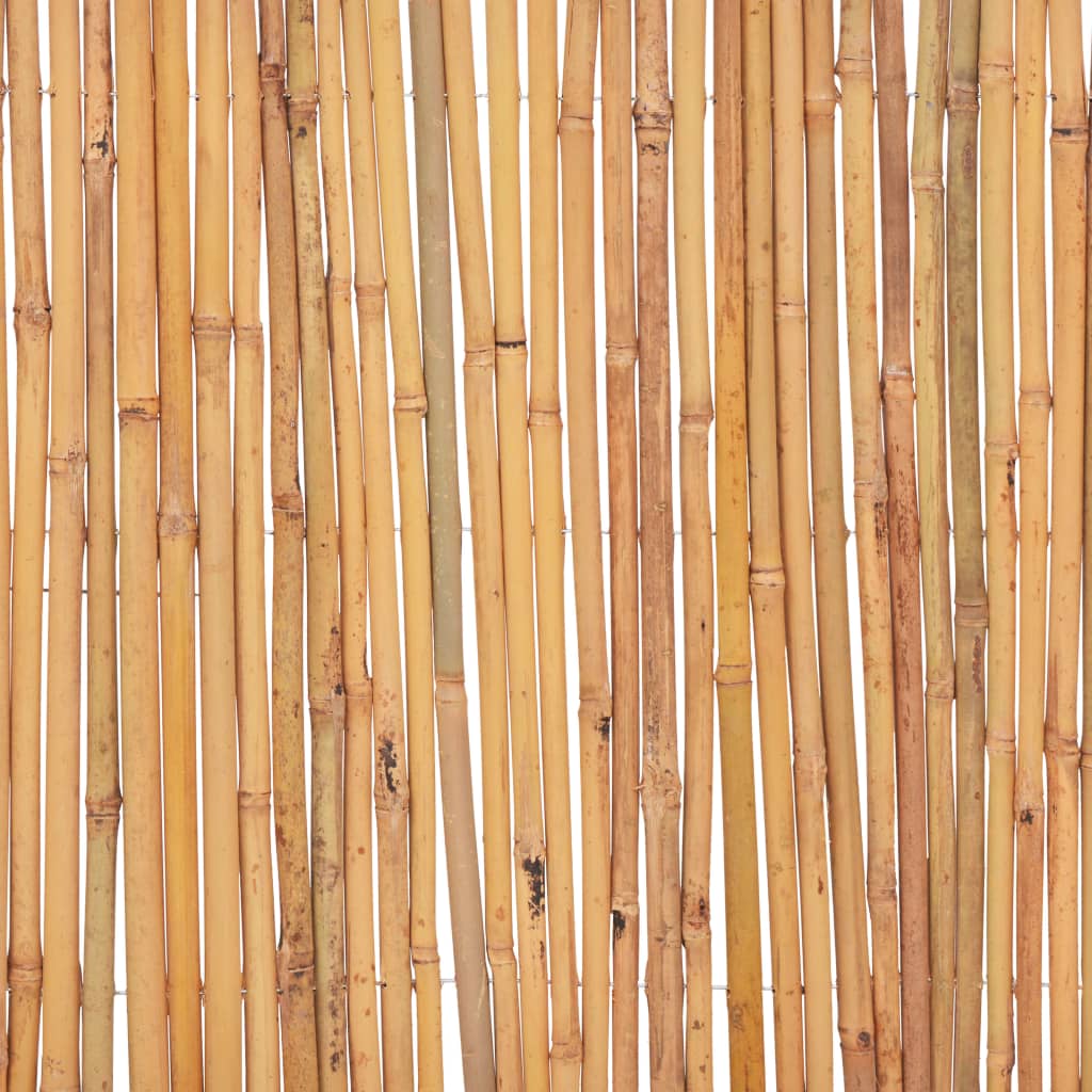 Recinzione in Bambù 500x50 cm