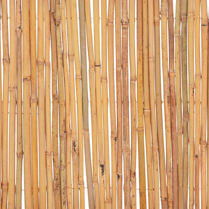 Recinzione in Bambù 500x50 cm