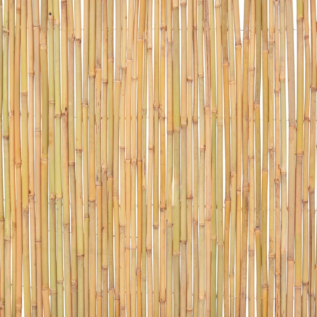 Recinzione in Bambù 300x100 cm | homemem39