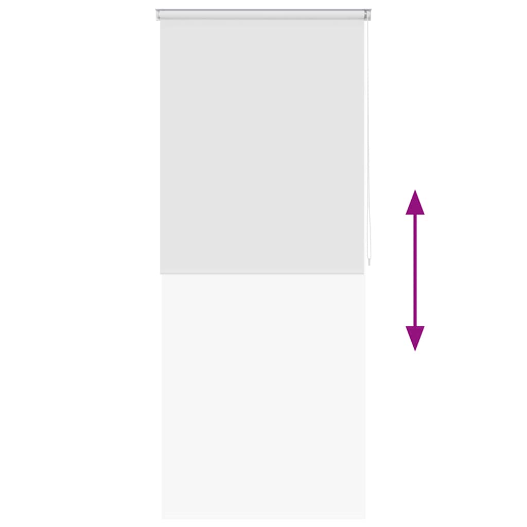 Tenda a Rullo per Doccia 100x240 cm Bianco | homemem39