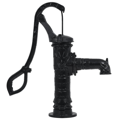 Pompa d'Acqua da Giardino con Supporto in Ghisa