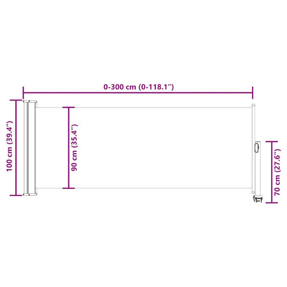Tenda da Sole Laterale Retrattile 100 x 300 cm Crema