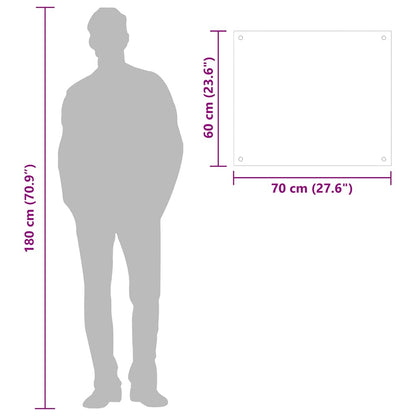 Paraschizzi per Cucina Trasparente 70x60 cm in Vetro Temperato