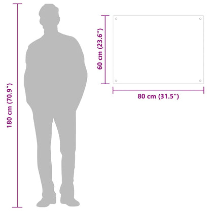 Paraschizzi per Cucina Trasparente 80x60 cm in Vetro Temperato