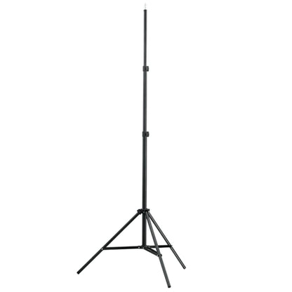 Set Studio Fotografico Fondale Bianco 600x300 cm con Luci - homemem39