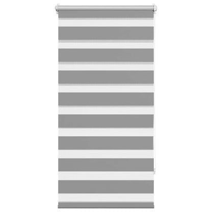 Tenda Oscurante 60 x 120 cm Grigio - homemem39