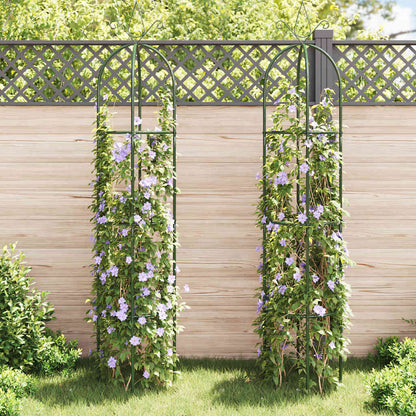 Set Torri ad Arco 2 pz per Piante Rampicanti da Giardino | homemem39