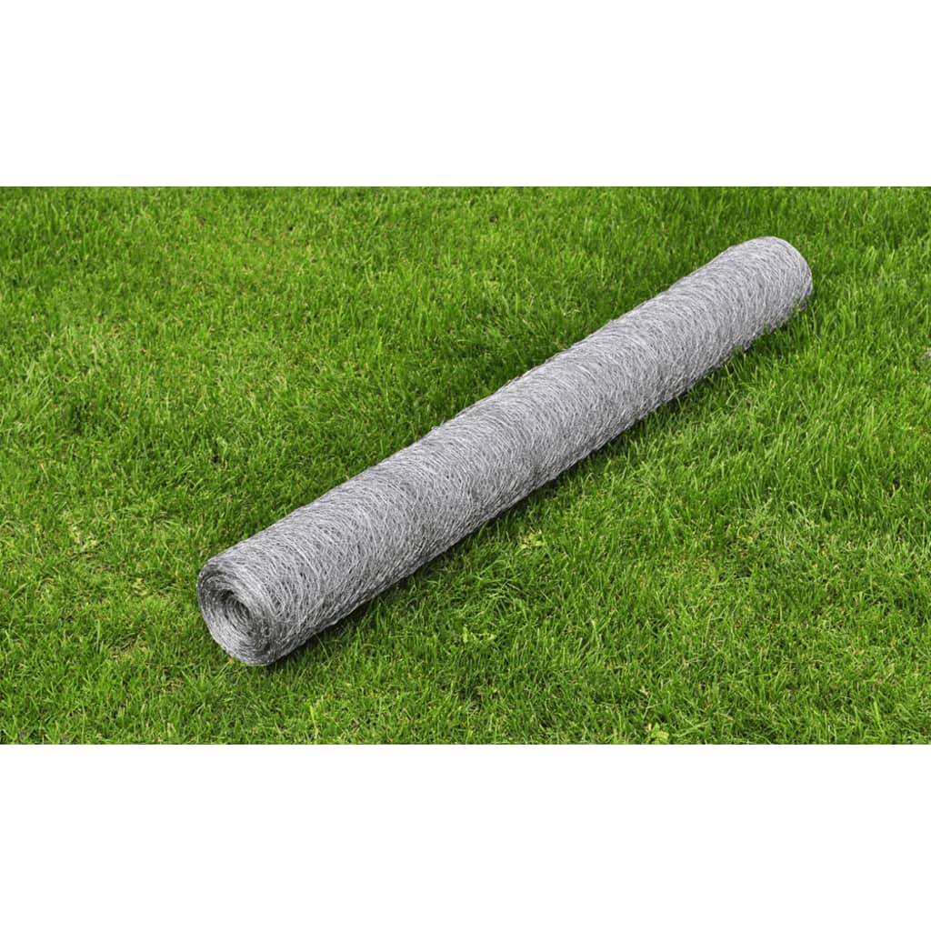 Recinzione in Rete per Pollaio Acciaio Zincato 25x1 m Argento