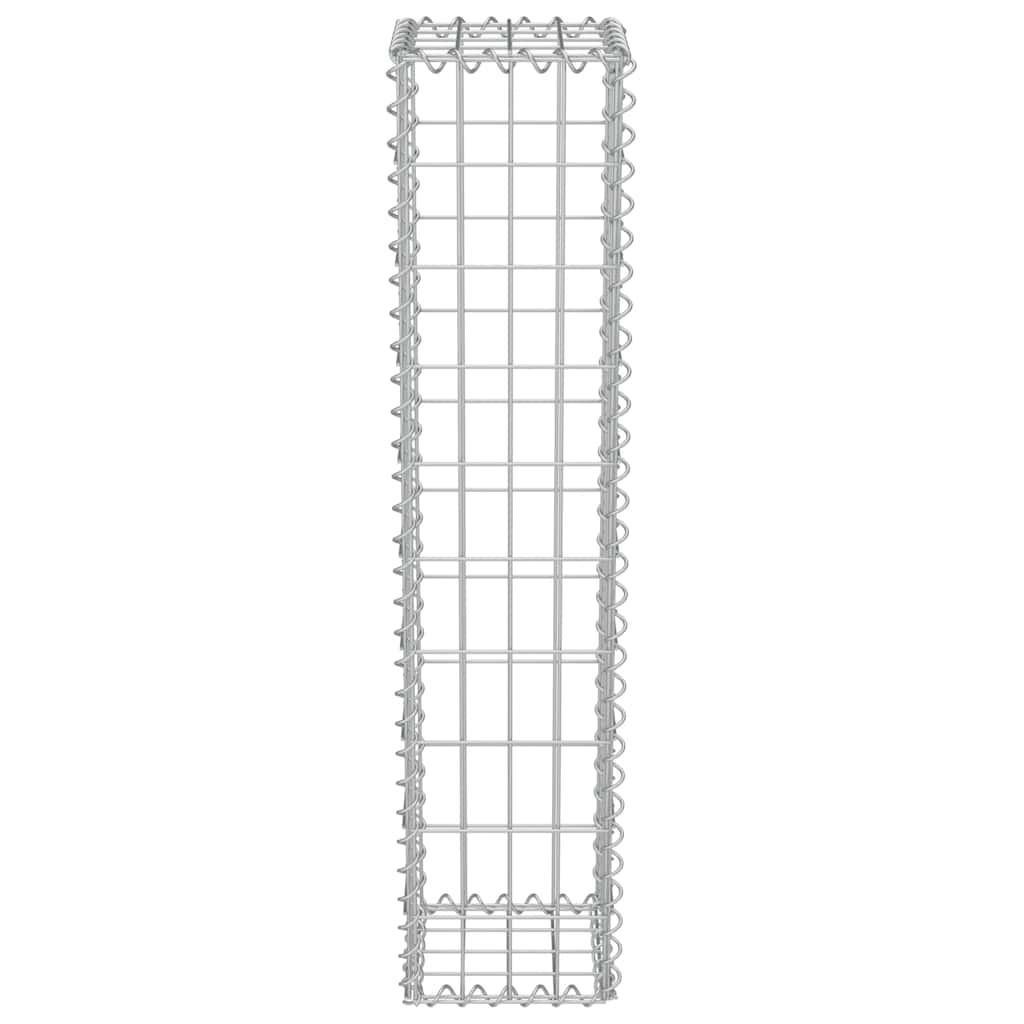 Gabbione in Acciaio Zincato 20 x 20 x 100 cm | homemem39