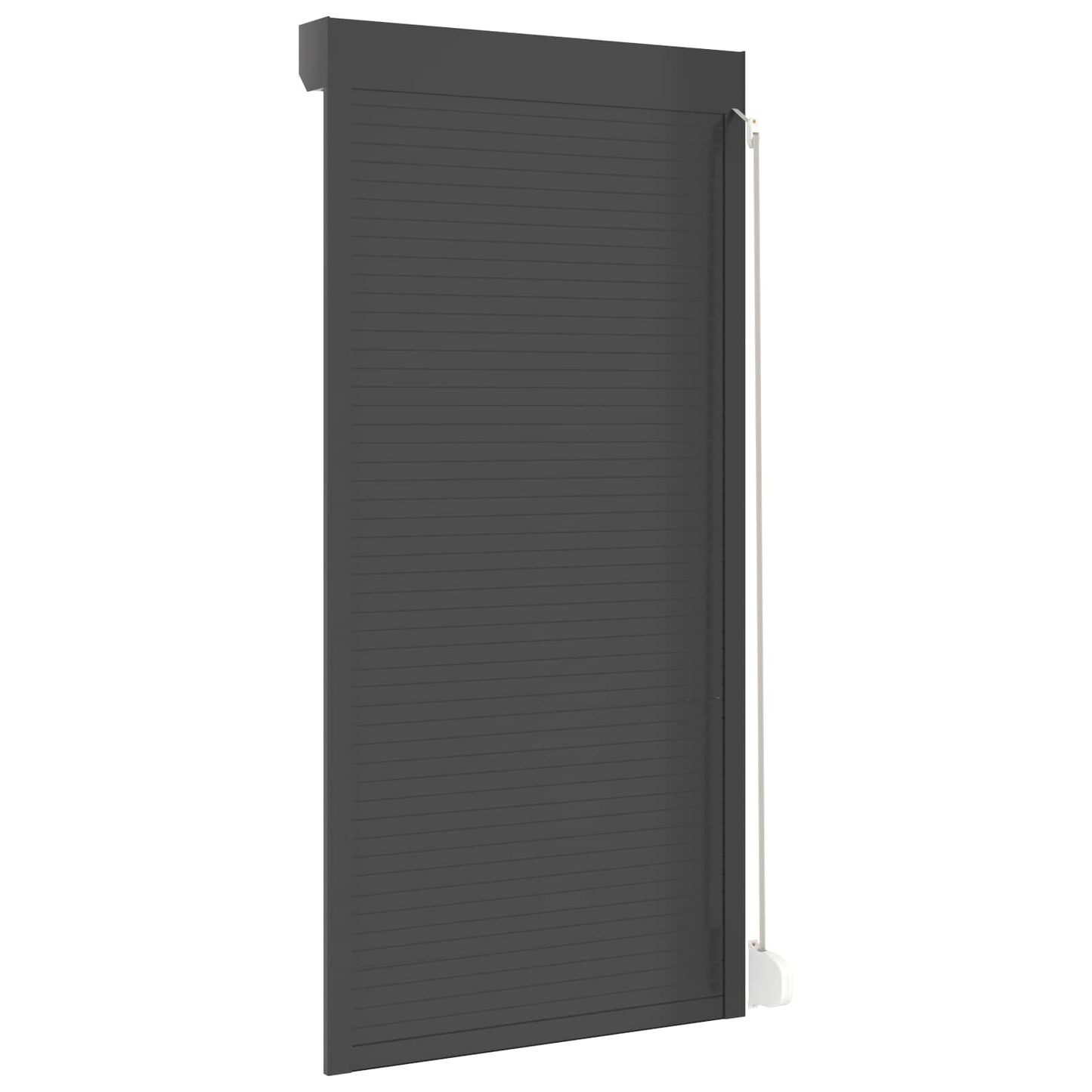 Persiana a rullo Antracite 100 x 210 cm Alluminio e poliuretano | homemem39