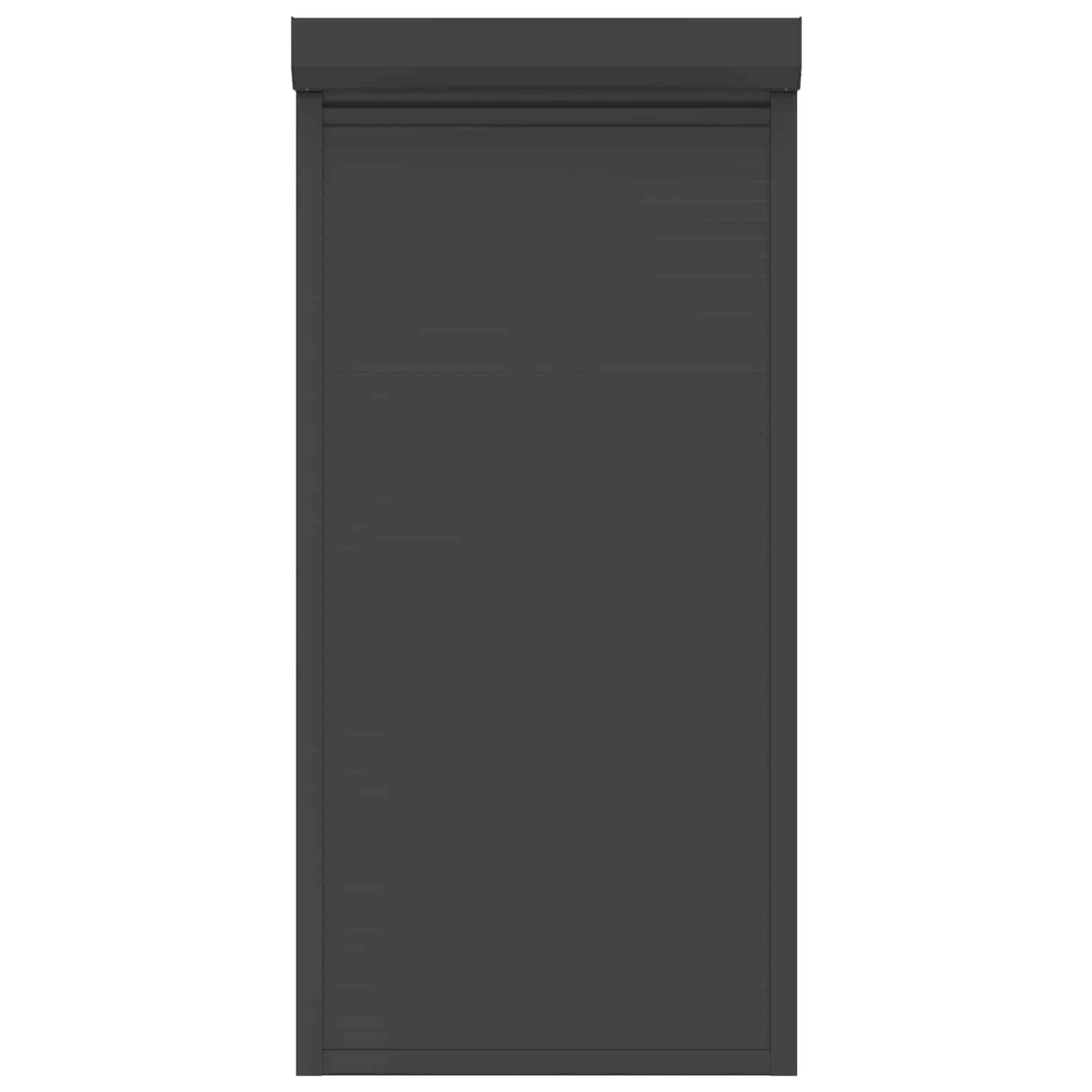 Persiana a rullo Antracite 100 x 210 cm Alluminio e poliuretano | homemem39