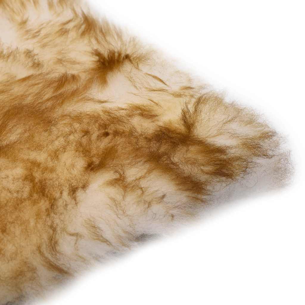Cuscini Sedie 2pz Melange Marrone 40x40cm Vera Pelle di Montone | homemem39