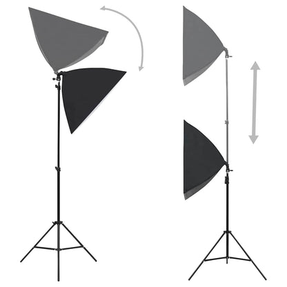Luci Professionali da Studio 2 pz 40x60 cm in Acciaio Nero - homemem39