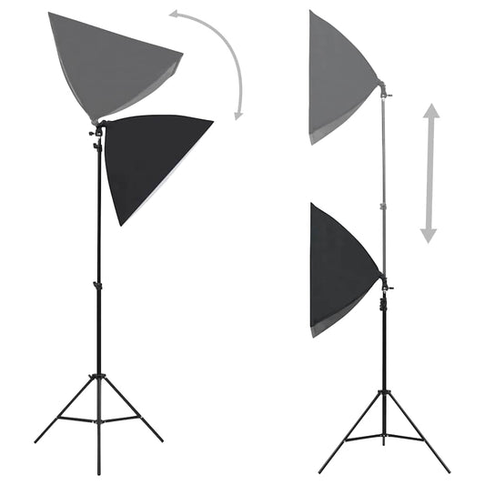 Luci Professionali da Studio 2 pz 40x60 cm in Acciaio Nero - homemem39