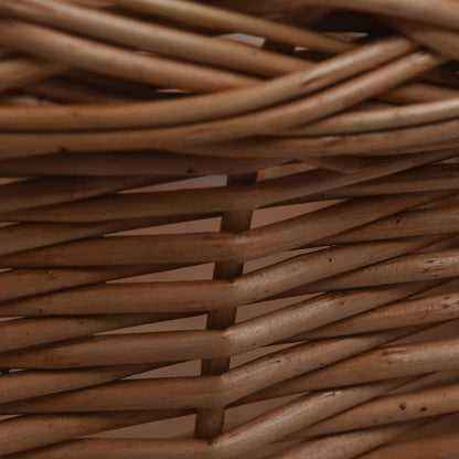 Cestino Anteriore Bici con Copertura 50x45x35cm Salice Naturale | homemem39
