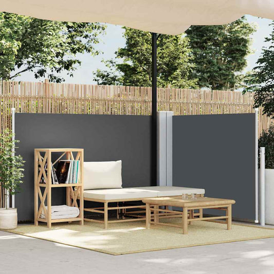 Tenda da Sole Laterale Retrattile Antracite 100x600 cm - homemem39