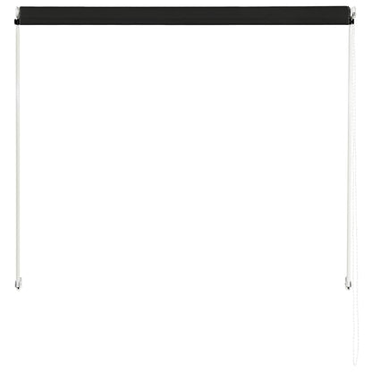 Tenda da Sole Retrattile 100x150 cm Antracite