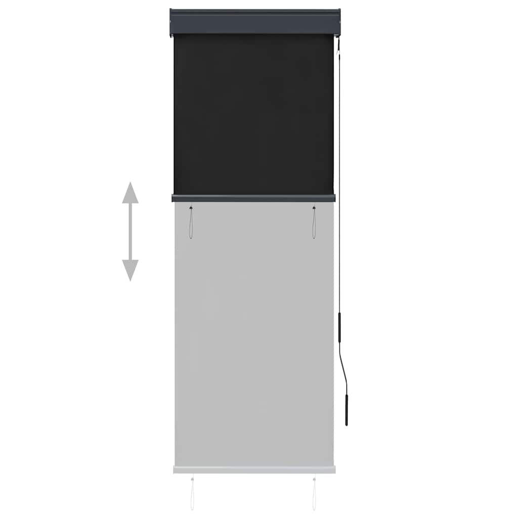 Tenda a Rullo per Esterni 60x250 cm Antracite