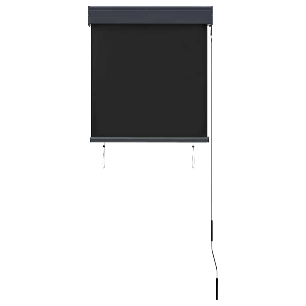 Tenda a Rullo per Esterni 60x250 cm Antracite
