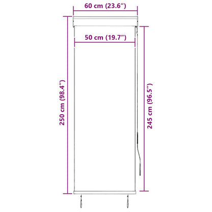 Tenda a Rullo per Esterni 60x250 cm Arancione e Marrone