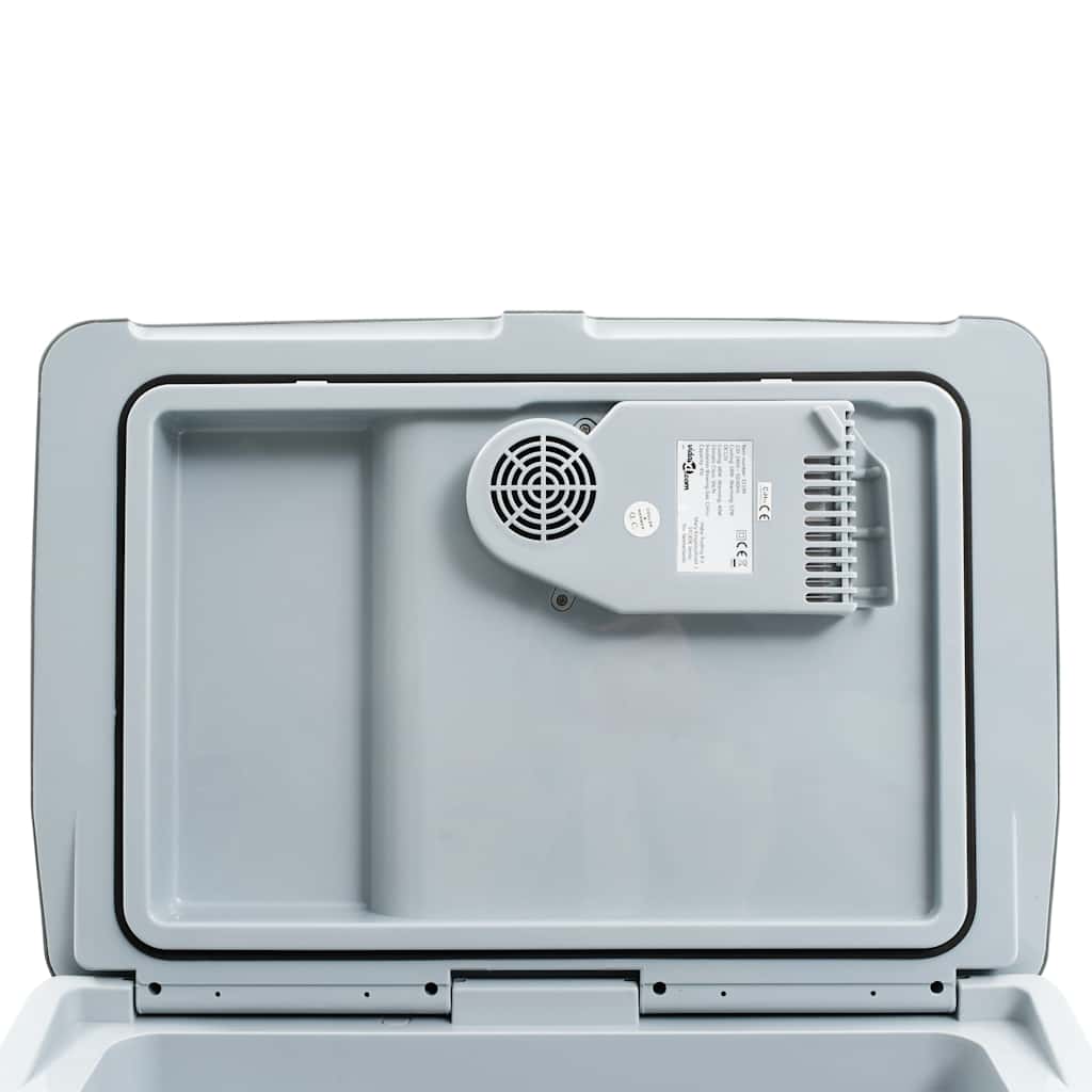 Scatola Termoelettrica Portatile 40 L 12 V 230 V E | homemem39