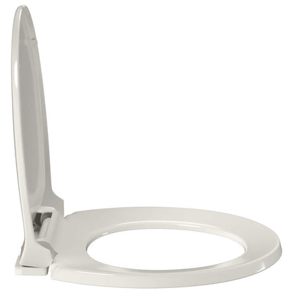 Oval Gray Soft Closing and Quick Release Toilet Seat
