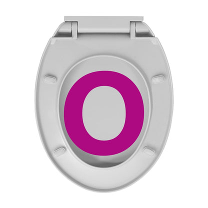 Oval Gray Soft Closing and Quick Release Toilet Seat