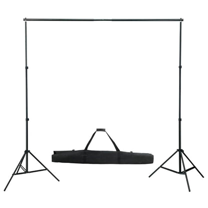 Kit per Studio Fotografico con Set di Luci e Fondale - homemem39