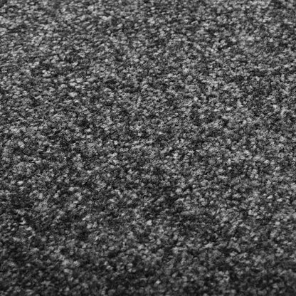 Zerbino Lavabile Antracite 90x150 cm | homemem39