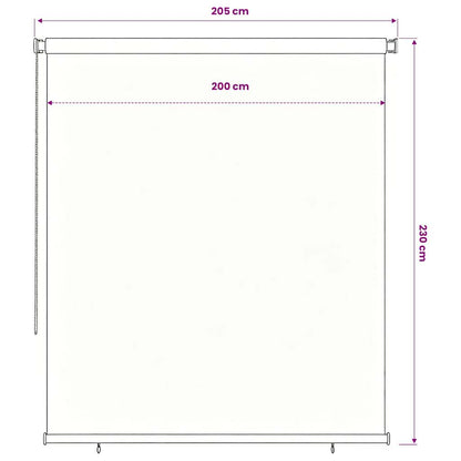Tenda a Rullo per Esterni 205(L)x230(A) cm Marrone HDPE | homemem39