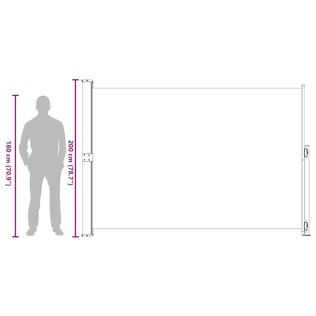 Retractable Side Awning for Patio 200x300 cm Black