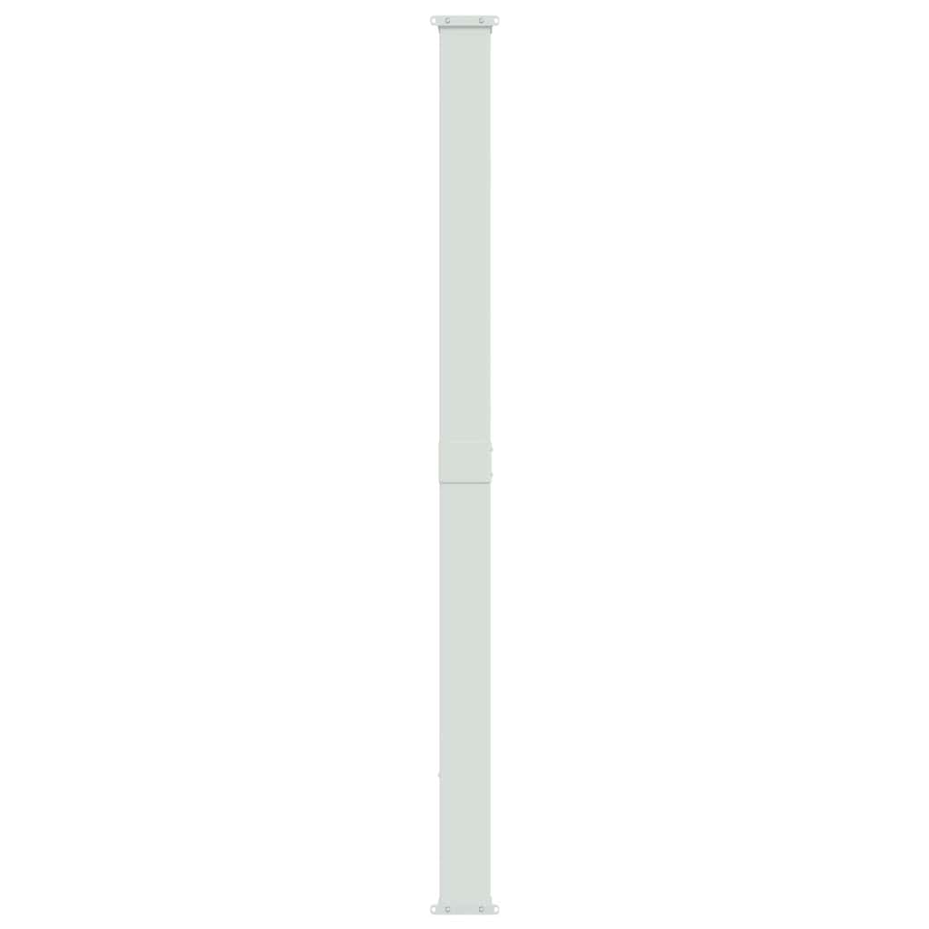 Tenda Laterale Retrattile per Patio 220x300 cm Grigia | homemem39