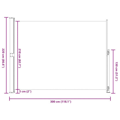 Tenda Laterale Retrattile per Patio 220x300 cm Grigia | homemem39