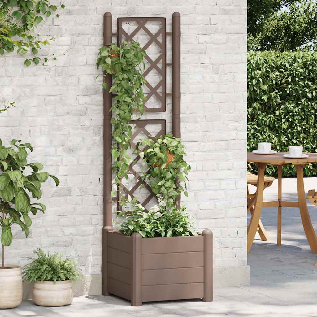 Fioriera da Giardino con Graticcio 43x43x142 cm PP Mocca - homemem39