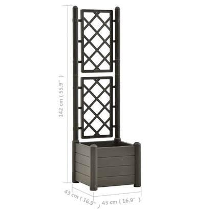 Fioriera da Giardino con Graticcio 43x43x142 cm PP Antracite | homemem39