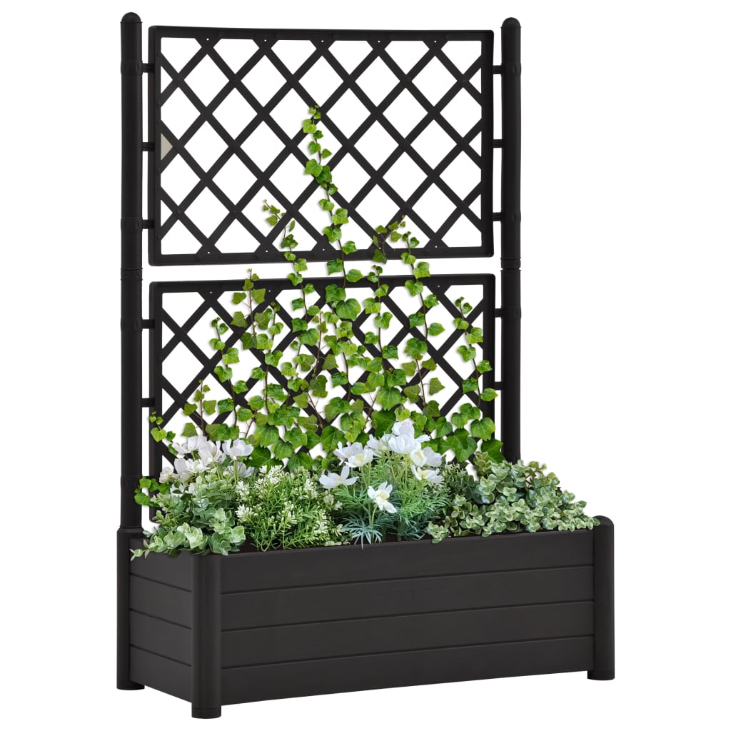 Fioriera da Giardino con Graticcio 100x43x142 cm PP Antracite - homemem39