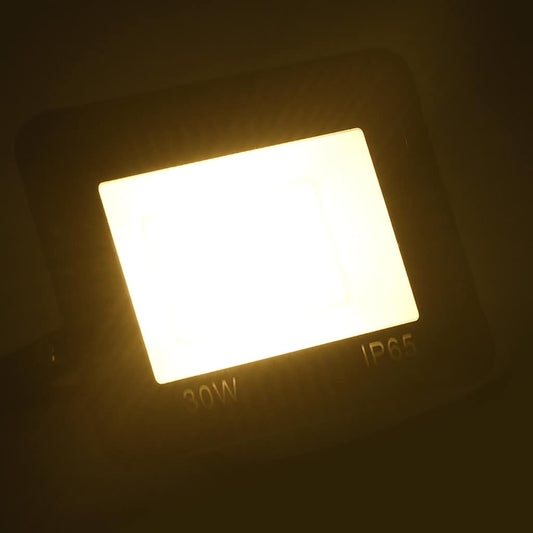 Faretto a LED 30 W Bianco Caldo - homemem39
