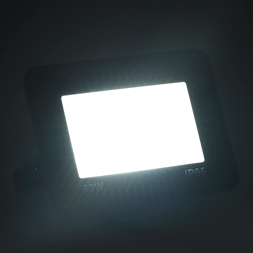 30 W Cold White LED spotlight