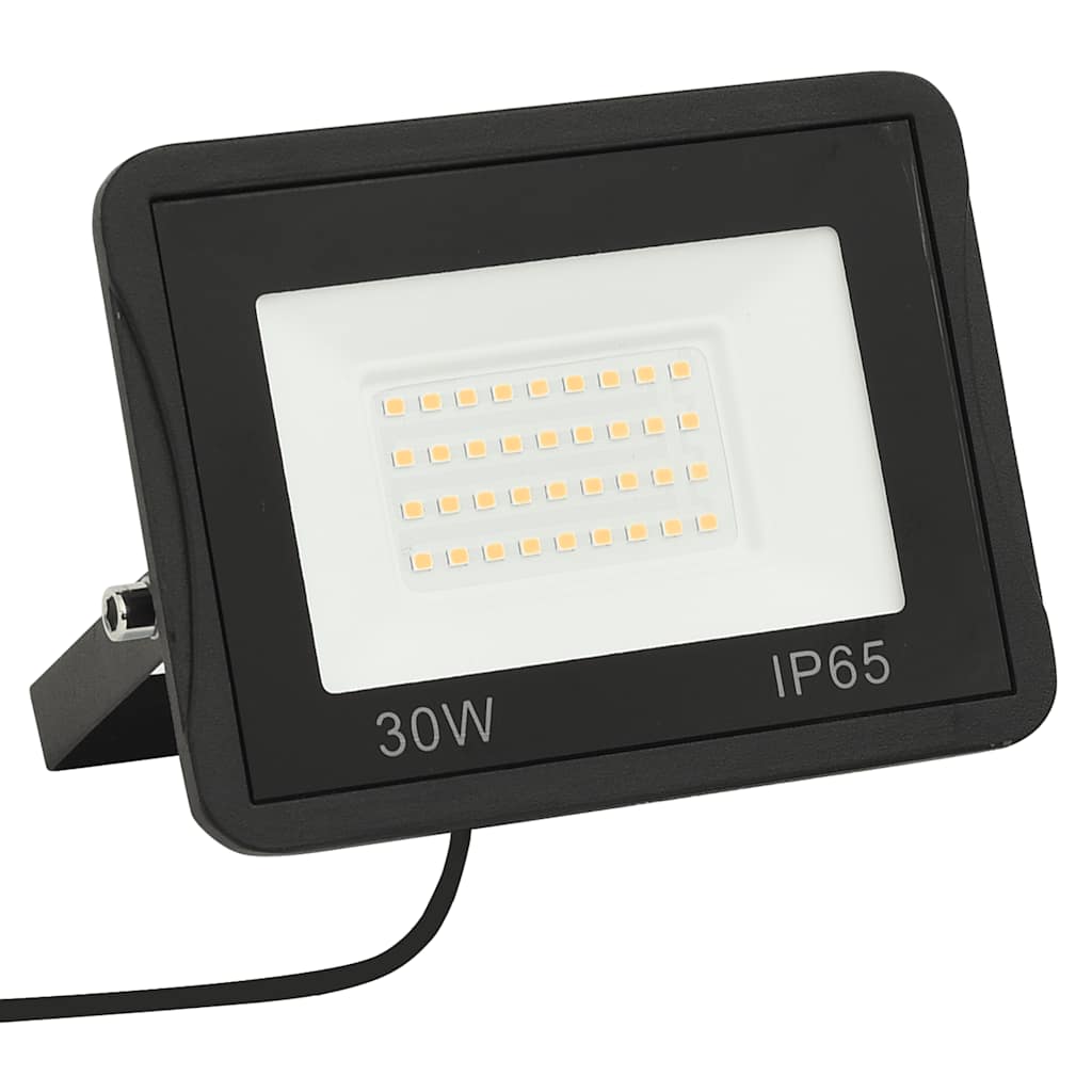 30 W Cold White LED spotlight