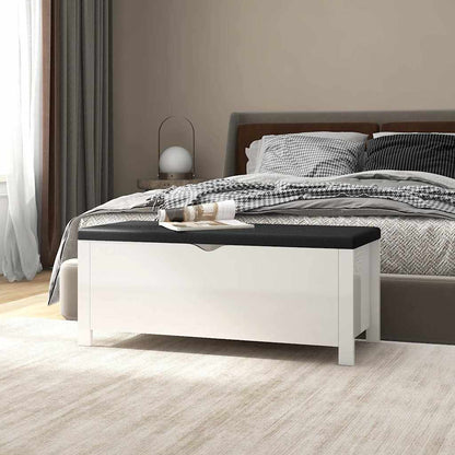 Contenitore con Cuscino 105x40x45cm Multistrato
