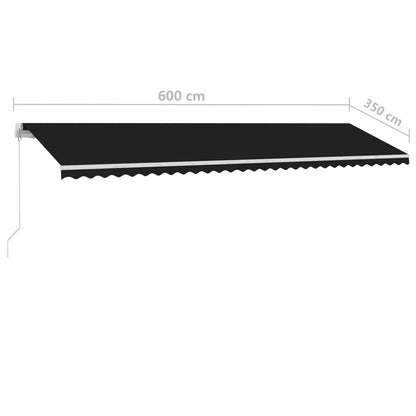 Tenda da Sole Autoportante Manuale 600x350 cm Antracite