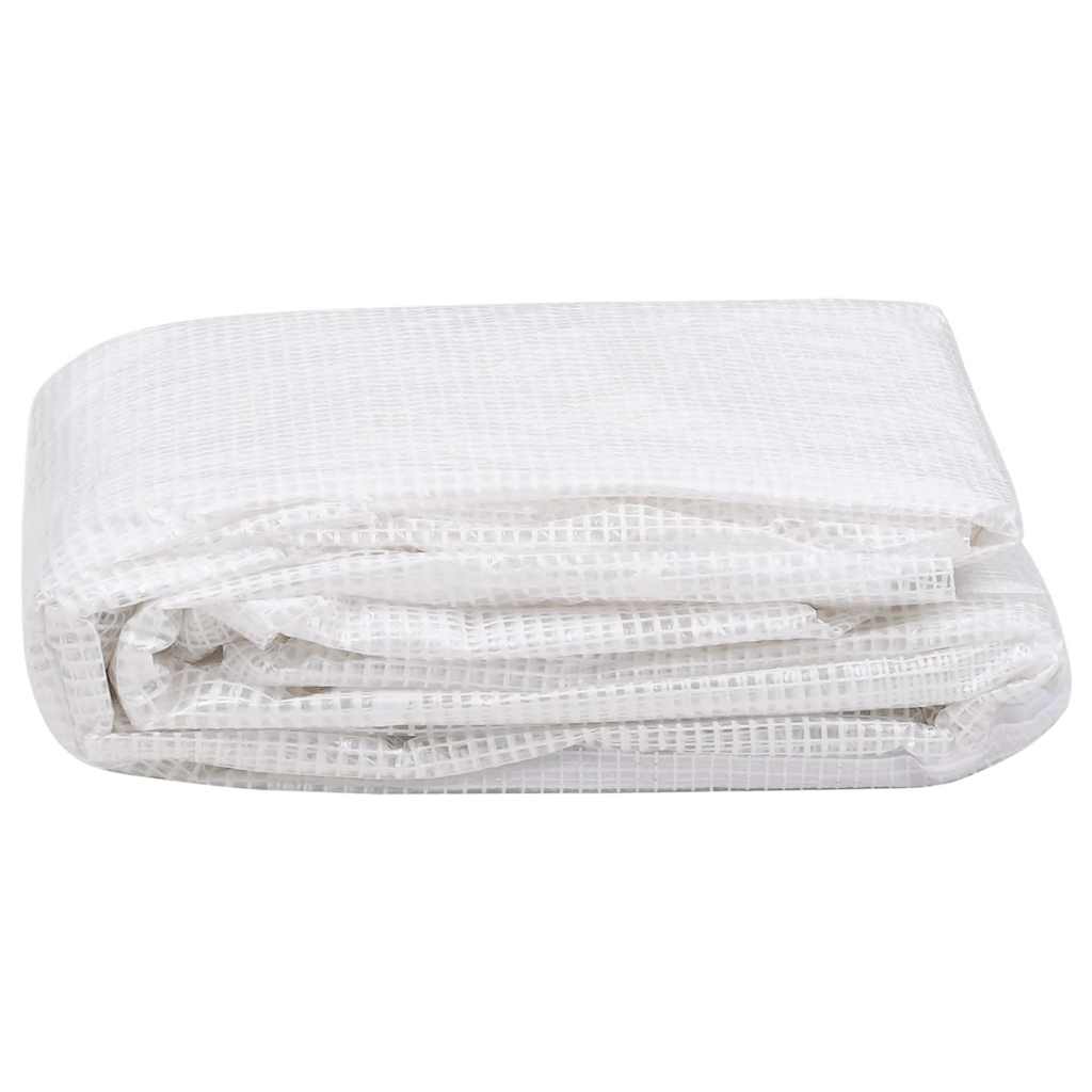 Telo di Ricambio per Serra (4,5 m²) 3x1,5x2 m Trasparente - homemem39