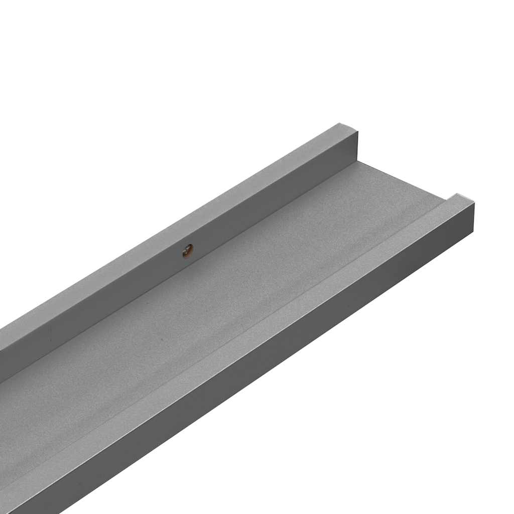 Mensole da Parete 2 pz Grigie 100x9x3 cm | homemem39