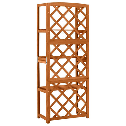 Traliccio con Ripiani 55x30x140 cm in Legno Massello di Abete | homemem39