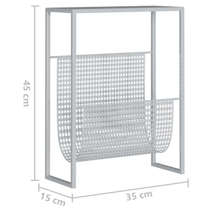 Portariviste Argento 35x15x45 cm in Acciaio - homemem39