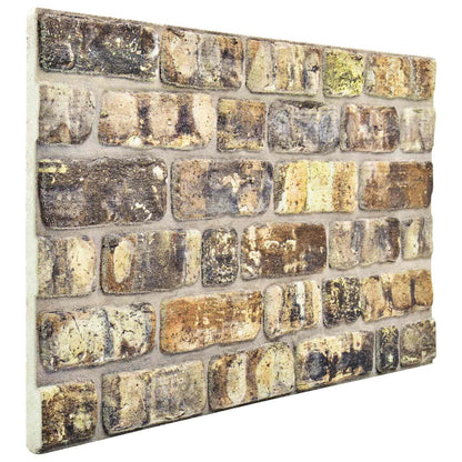 Pannelli da parete 10 pcs Multicolore 100 x 50 cm Schiuma EPS