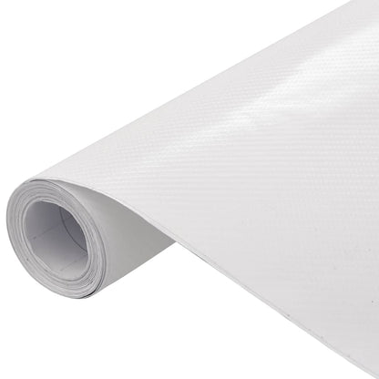 Pellicole per Auto 2 pz 4D Bianco 100x150 cm | homemem39