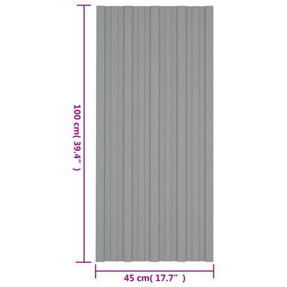 Pannelli da Tetto 36 pz in Acciaio Zincato Grigio 100x45 cm - homemem39